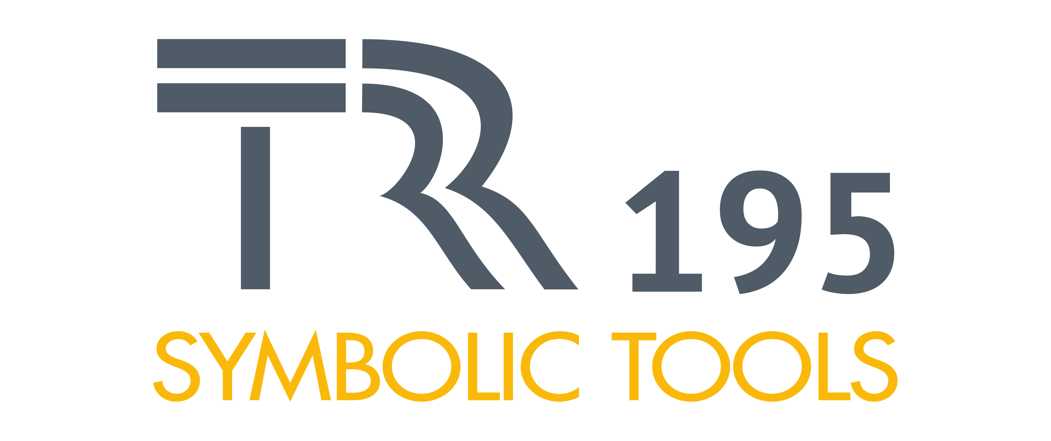 SFB-TRR 195 logo
